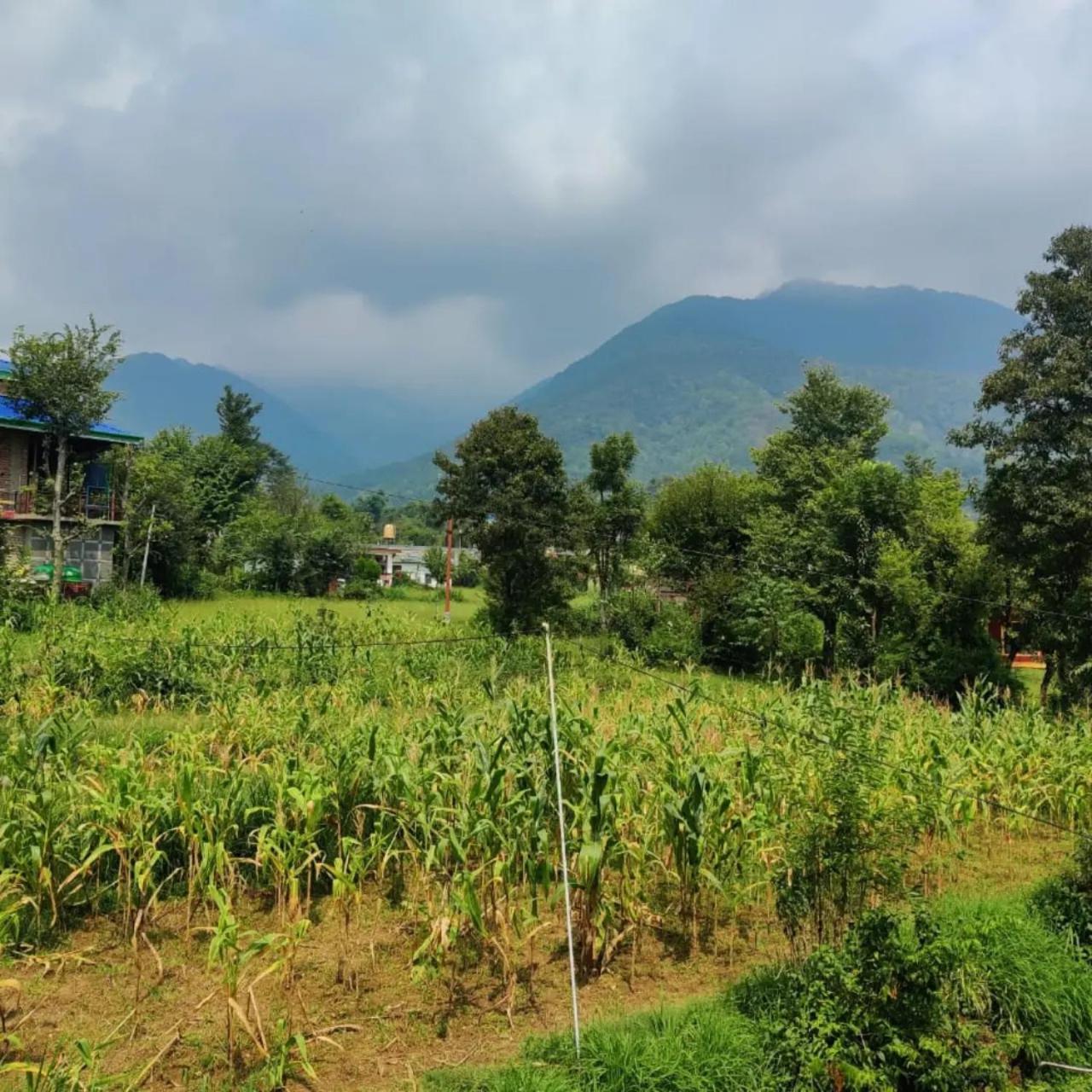 Aditya Homestay Bir-Billing Surrounded By Mountains Экстерьер фото